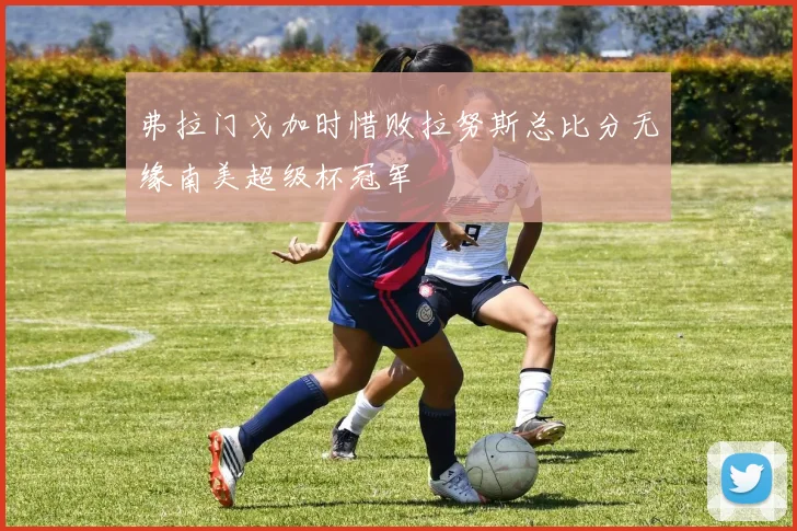 弗拉门戈加时惜败拉努斯总比分无缘南美超级杯冠军