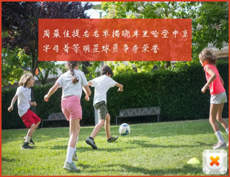 周最佳提名名单揭晓库里哈登申京字母哥等明星球员争夺荣誉