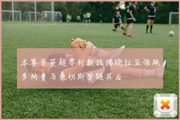 本赛季英超零封数据揭晓拉亚领跑多纳鲁马桑切斯紧随其后